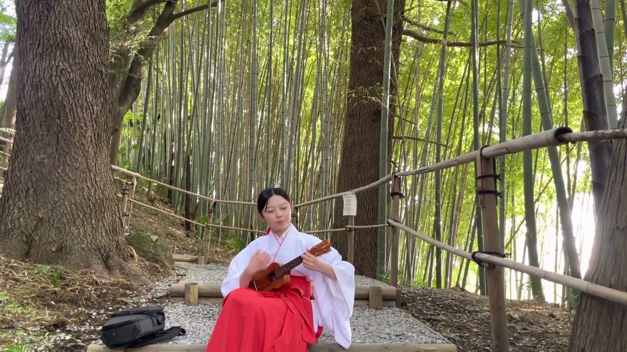 #internationalukulelecontest