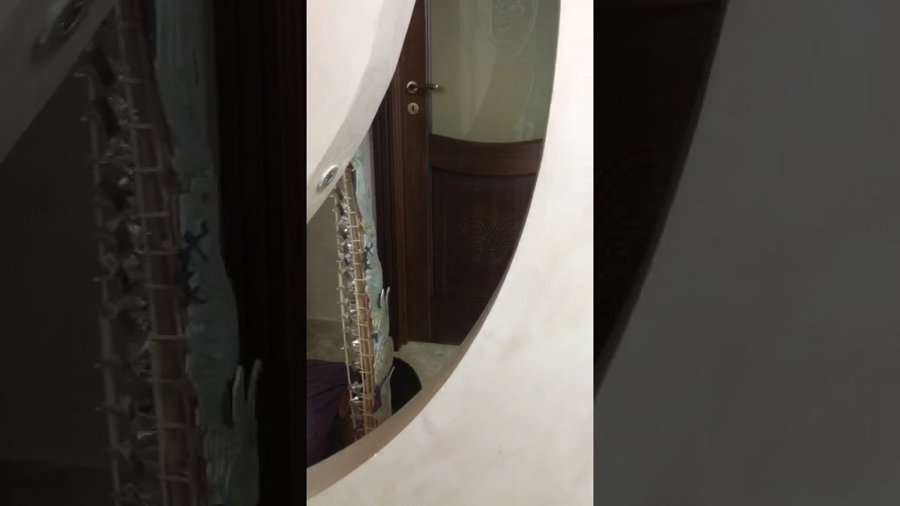 Giglio Frusta in miniatura 2016