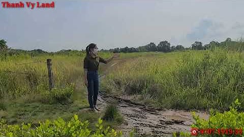 Bán đất Cần Giờ. DT 2000 m2, QH ONT. Tương lai ra mặt tiền Phan Trọng Tuệ nối dài.