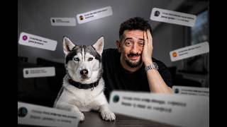 Jeder glaubt, er weiß alles über Huskys…