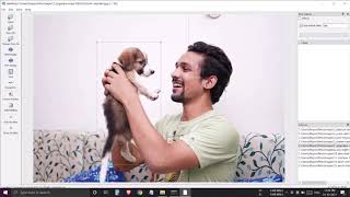 Celebrity LabelImg Bounding Box Annotation Tips - Part 2 Net Worth