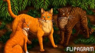 Bramblekit To Bramblestar-Just Like Fire