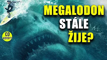 Žije ještě 1 megalodon?