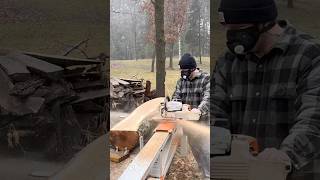 Slicing Cherry with Ease on my Logosol F2+ Chainsaw Mill!