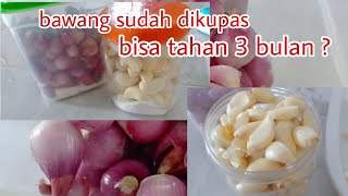 TIPS CARA MENYIMPAN BAWANG MERAH DAN BAWANG PUTIH YANG SUDAH DIKUPAS AGAR BISA TAHAN 3 BULAN