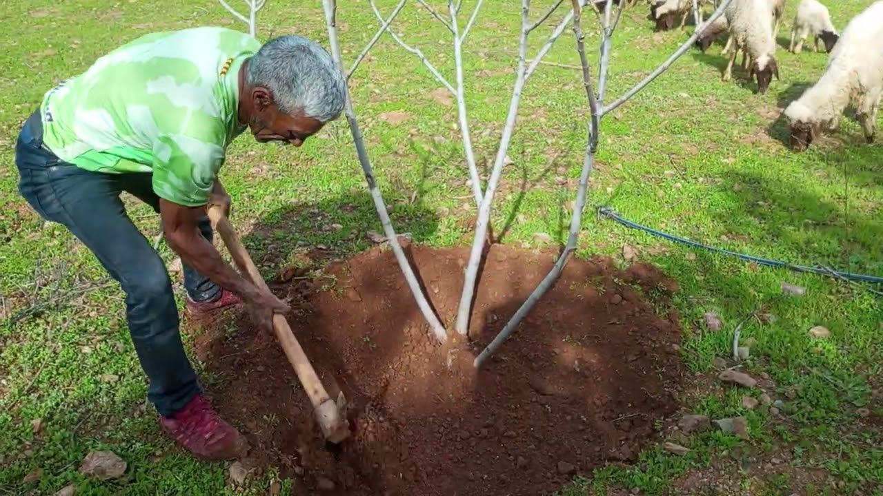 سويفي موا خويا التيقني ليطرافو براتيك والتقنيات...العز المهنة الحرة من هادي لهادي.