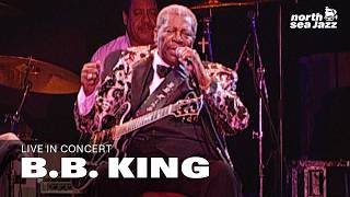 B.B. King - 'Bad Case Of Love' [HD] | Live at North Sea Jazz Festival 2000