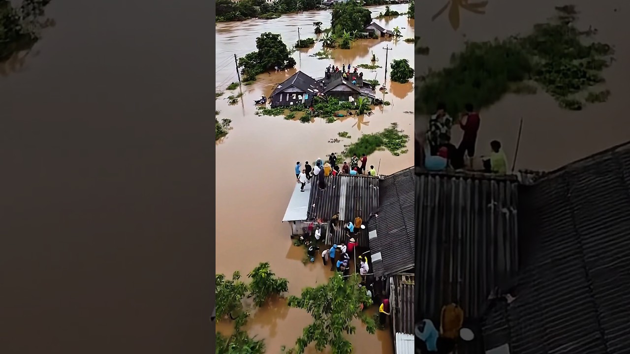 Flood as high as the roof of the house 