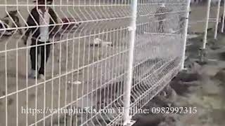 Hướng Dẫn Thi Công lưới hàn hàng rào