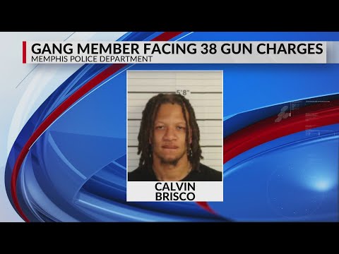 Gun Charges