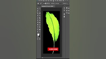 Leaf Glow Photoshop #glow #effects #photoshop
