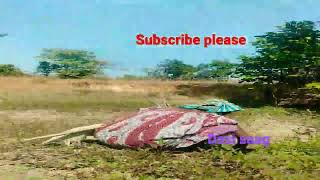 Desi Jungle Ka Saagon Youtube Channeldehati Meerys Vlog