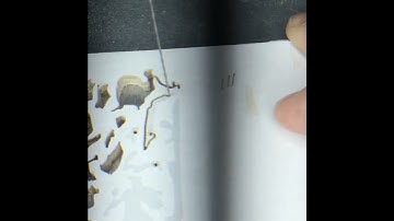 Scroll Sawing With A Spiral Blade.