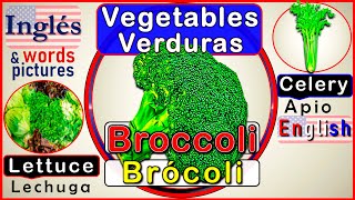Verduras en Inglés | Vegetables in English | Veggies Vegetales | Palabras en Inglés | Ingles gratis