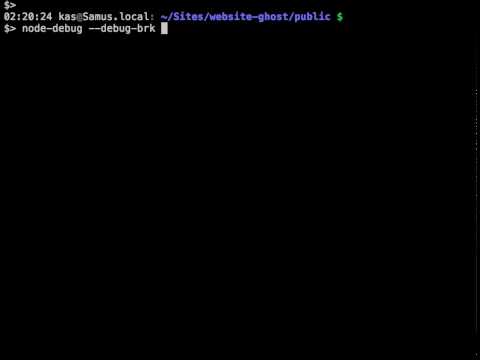 Launching Node Inspector with node-debug