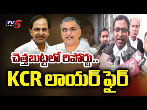 KCR Lawyer SENSATIONAL Comments | Kaleshwaram Report |  Telangana High Court | TV5 News - TV5NEWS