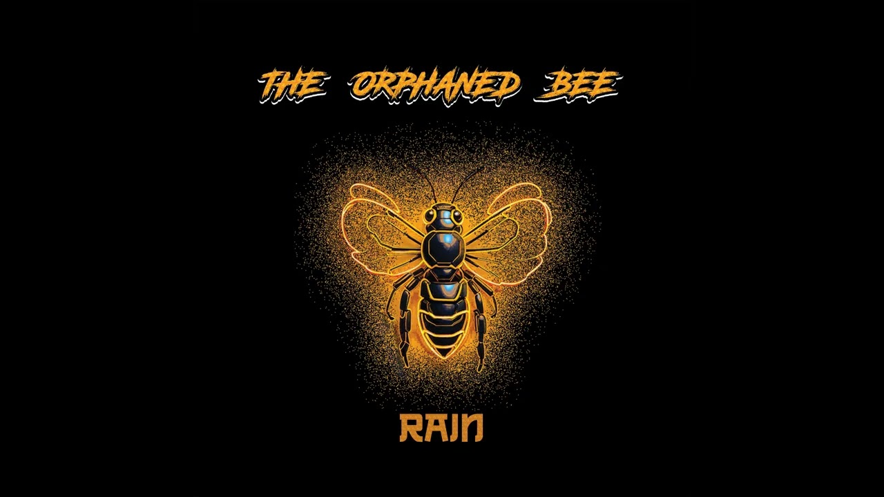 Guarda The Orphaned Bee - Rain (Official Audio) su YouTube Guarda The Orphaned Bee - Rain (Official Audio) su YouTube