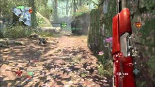 42-1 M14 Call Of Duty Black Ops
