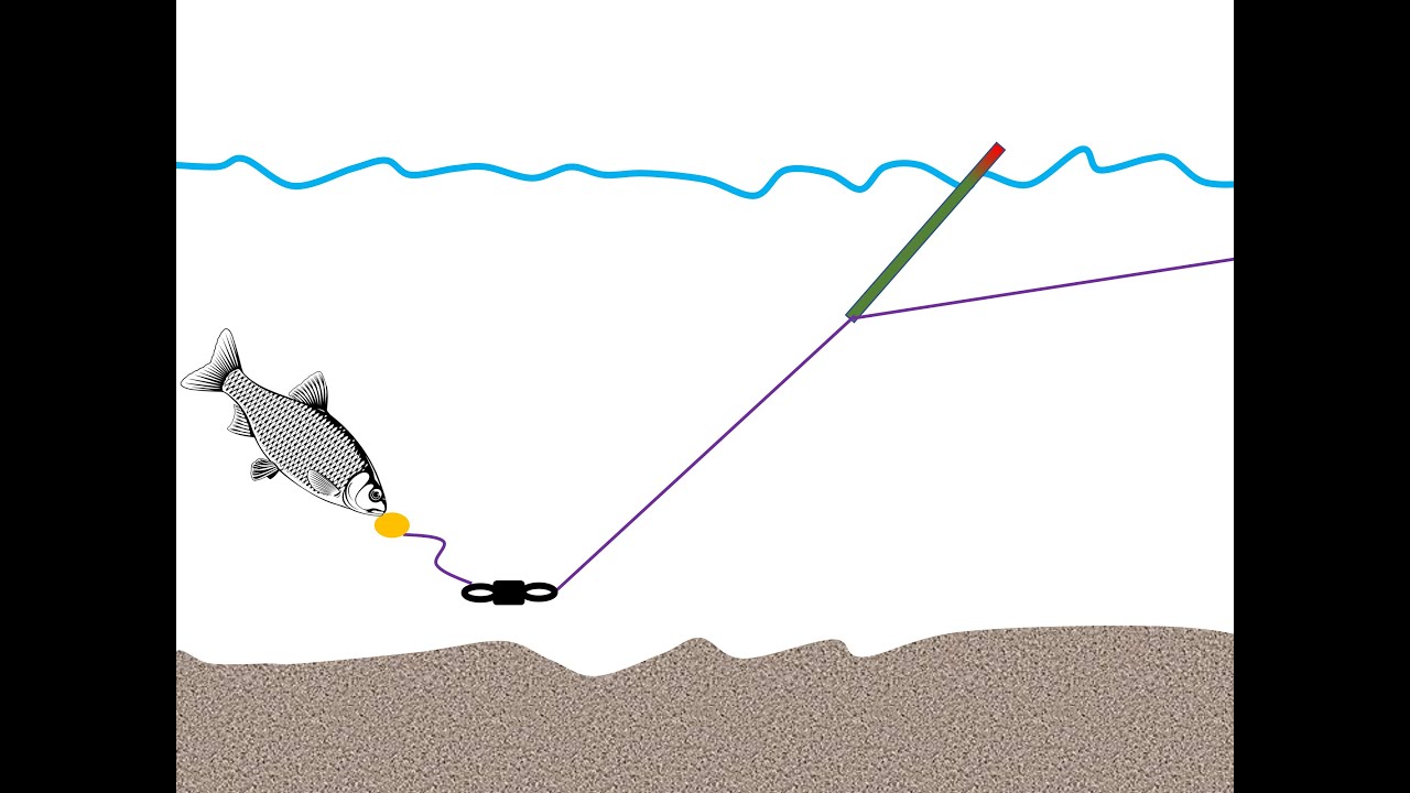 Dr Redfin introduces the lift method 2020 08 15