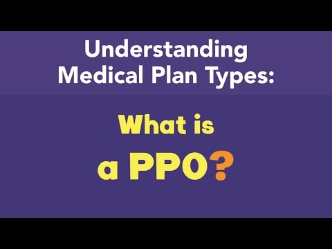 What is a PPO?