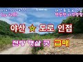 (no 528) 우뚝솟은 밭 급매 ! 야산&amp;도로 인접 🧡 건축 전기 ok 영천땅 영천촌집 영천토지 영천급매 영천주택 영천부동산 영천땅튜브