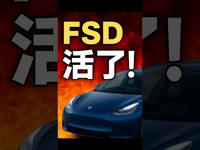 【重磅】特斯拉FSD v14曝光：AI驾驶进入&ldquo;有生命&rdquo;时代！特斯拉FSD v14来袭⚡比人还会开车？投资者必须盯紧！ #特斯拉 #automobile #熱門 #美股 #美股 #teslastock