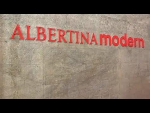 Video: Galería de Arte Albertina en Viena