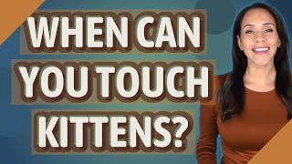 When can you touch kittens?