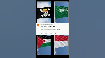 JJ COLLAB BER 4 VERSI BENDERA ONE PIECE 🏴☠️ ARAB SAUDI 🇸🇦 INDONESIA 🇮🇩 PALESTINA 🇵🇸 #like #subscribe