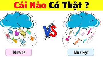 Chỉ 5% Những Người Với Đôi Mắt Tinh Anh Mới Giải Được Hết 10 Câu Đố Này | Chị Kính Đố Vui