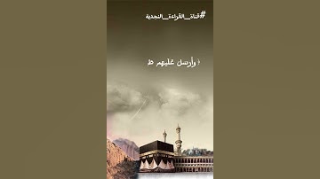 سورة الفيل بصوت القارئ محمد بن صالح #قناة_القراءة_النجدية