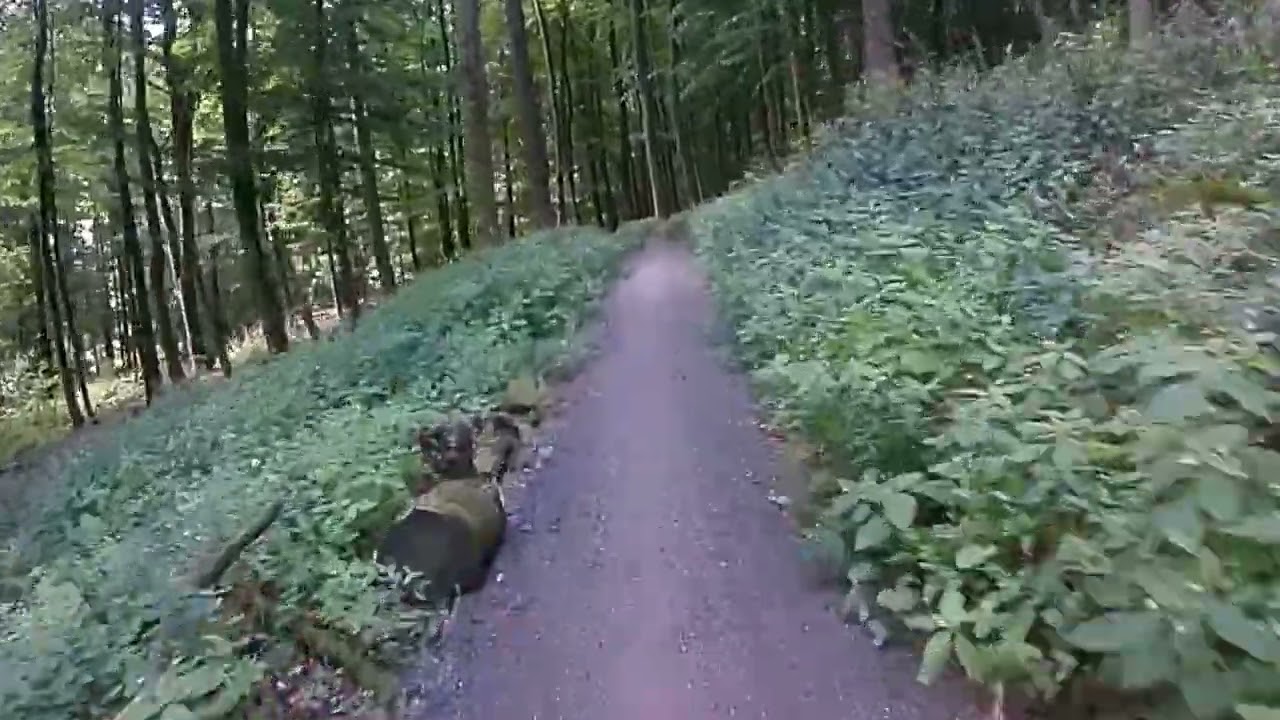 Eisenberg Green Trails KBP (blau)