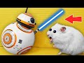 BB-8 Boss - DIY Star Wars Hamster Maze with Traps