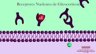 INFLAMMATION | Mechanism of Action of Anti-inflammatory Drugs screenshot 5