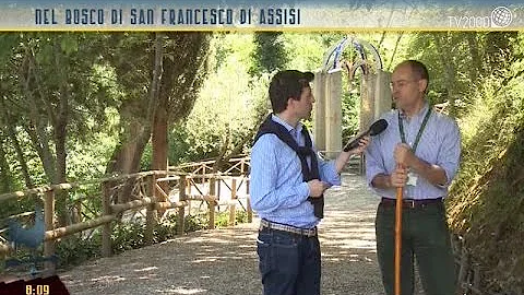 Quanto è lungo il percorso del Bosco di San Francesco?