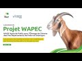 Koungheul Podor 2000 Ménages Bénéficiaires Du Projet WAPEC Porté Par La Haute Autorité Du Waqf 