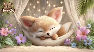 Chuut... Sable le Petit Fennec S'endort 🦊✨ | Berceuse Bébé | 3H de Musique Douce | DreamiZoo