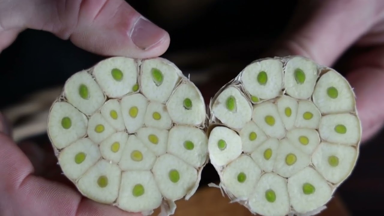 Brend moga sela ep. 167 24.02.2023. Beli luk, Kruščić