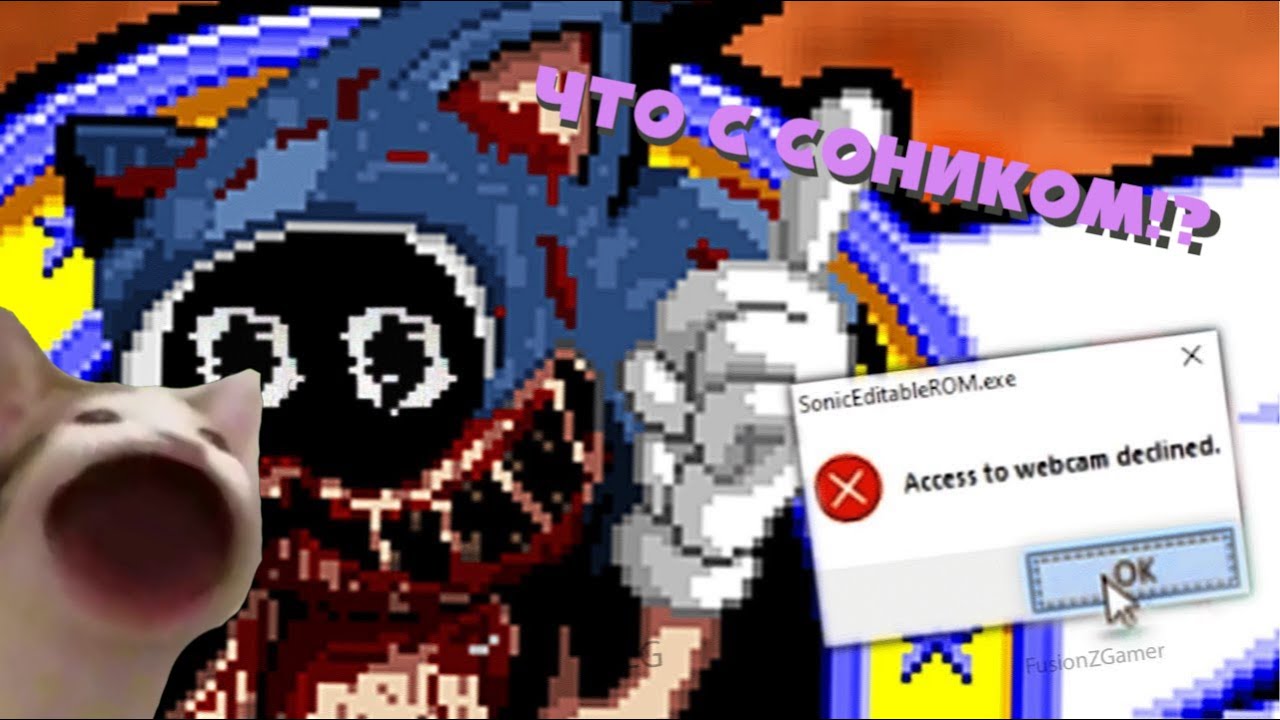 Эта игра взломала мой компьютер I Sonic Eyx