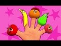 fruits famille doigt | chanson pour enfants | Fruits Finger Family | Nursery Songs For Children