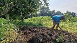UNIQUE AND SMART FARMING – SOIL TILLING USING A MINI TOOL! - agriculture farming