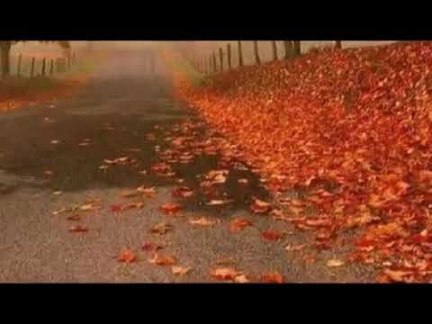 من اعظم الاجر والثواب غراس الجنة