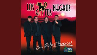 Video thumbnail of "Los Gatos Negros - Para olvidarme de tí"
