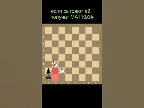 мат ОДНИМ КОНЕМ в эндшпиле #Shorts - YouTube