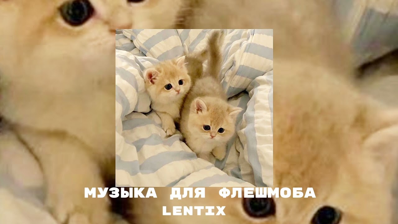 ✨музыка для флешмоба💗