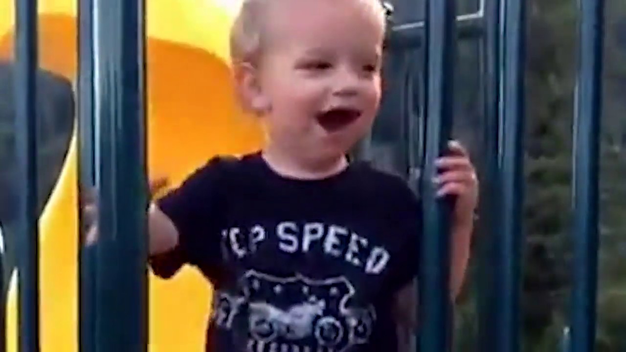 BEST FUNNY COMPILATION OF JUNE 