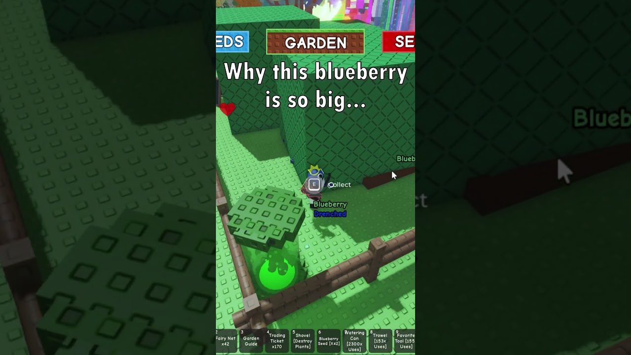 Why this blueberry is so big...  