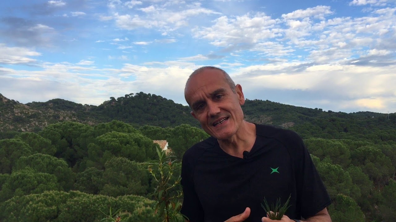 Una sustancia imprescindible pero muy poco valorada.