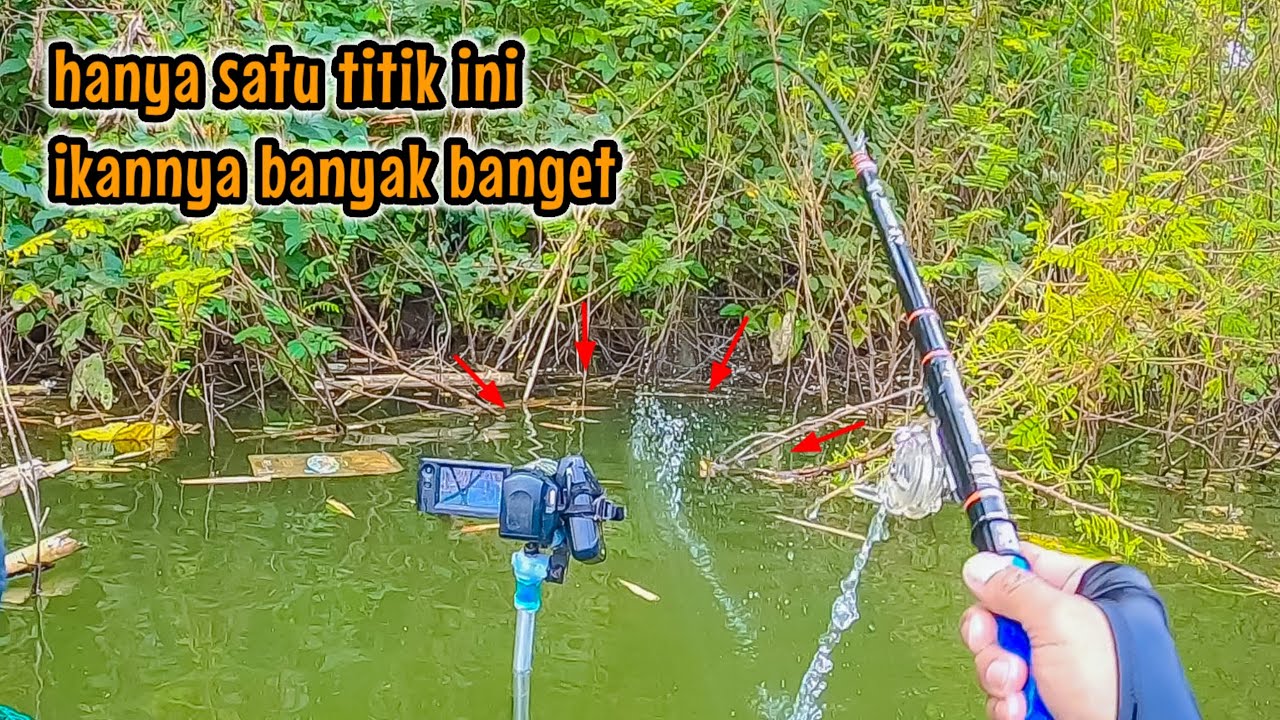 MANCING IKAN NILA DI SPOT YANG BARU SAYA KUNJUNGI TERNYATA BANYAK SEKALI IKANNYA || mancing nyobok