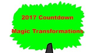 Famous Flash Animated Countdown to 2017 - Magic Transformations Net Worth